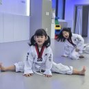 용인대 정무태권도장 이미지