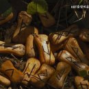 KBT중장비운전학원 네이버블로그