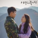 핑크브로콜리 이미지