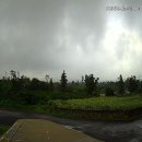 7월 19일 cctv로 보는 제주 전지역 실시간 날씨 풍경 이미지