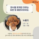 견물화식 네이버블로그