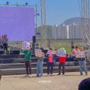 대박이 노리터 이미지