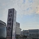 소나무가든 | ​[화성 맛집] 10년간 방문한 노포 찐 맛집 '소나무 가든' 내돈내산 후기 🌲