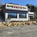 옛살비 | [상주 옛살비용궁단골식당 후기] 돼지국밥부터 막창양념구이까지