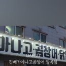 진배기 아나고 곰장어 이미지