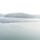 원태양광발전소 이미지