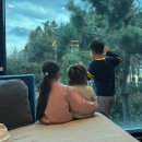 이지요더파크 | 강서구 명지 신호동 카페 - 이지요 더파크