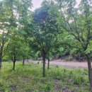 근삼농장 이미지