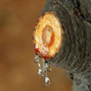 세기셀프세차장 이미지