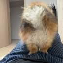 황인용 농장 | 일상