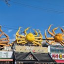 아라회대게 이미지