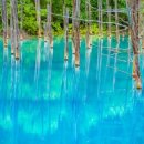 연못으로 이미지