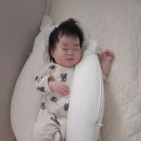 꿀잠 | [내돈내산/육아템] 모아트리 꿀잠슈트 후기 및 장단점