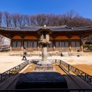 오백빵 Daum카페