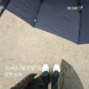 분당구청입구.수내교 이미지