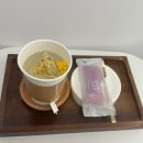 힐링채식테라피 온 | [합정] 모생떼헤드스파 : 두피 힐링 찐하게 하고 온 후기 (편백 힐링 테라피)