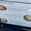 커피살롱