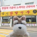 [밥밥] 다지의 &#39;함지칼국수&#39; 후기 #내돈내산 #맛집인정