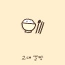 교대 쌀빵 | 교대 쌀빵 방문 후기
