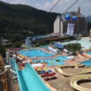 파인리조트 이미지