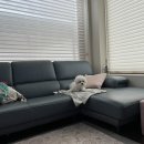 애견스테이해피하개 | 가평 애견펜션 : 아다마스펜션 (애견동반 사우나)