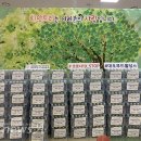 대오푸드홀딩스 이미지