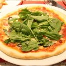 명품휘슬러 이미지