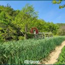 용소리푸른농장 이미지