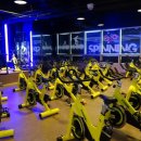 플러스 짐 이미지