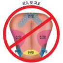 교과서에서 배운 혀 맛 지도 틀렸다 이미지