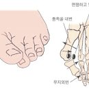 아이디얼바디 이미지