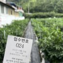 아랫목식당 | [강진 연탄불고기 식당] 병영시장 주변 평일에도 웨이팅하는 설성식당, 사장님이 친절한 휴다움 카페 후기