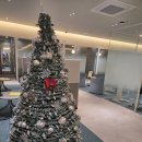 부산제일의원 | 상상만 했던 다이어트 성공은 부산지방분해주사의원에서 시작하고 MPL주사 2회차 후기