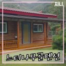 느티나무골펜션 이미지