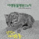 와일드동물병원