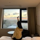 사능카 | [태교여행] 제주도 여행 1탄 🏝️(닭머르해안길, 오설록, 문도지오름, 중문색달해수욕장)