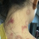 호두정형외과의원 이미지