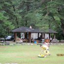 솔밭펜션 캠핑장 이미지