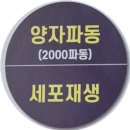 겔마미라클