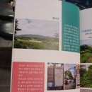 호매실벚꽃음식문화거리 이미지