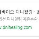 디니힐링시스템 이미지