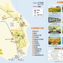 도선장횟집 이미지