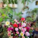 수원성균관대역동문디이스트(아) 이미지