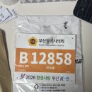 뛰니뛰니 | 2026 환경사랑 부산 K-런 10km 완주 후기, 오랜만에 뛰니 더 힘들었던 마라톤 🏃🏻‍♂️