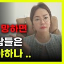 MG손보사태 속시원하게 정리!! (보험설계사님 필수시청) 정대표TV 구독자 1.57만명 이미지