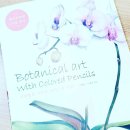 기초부터 완성까지, 색연필 스케치 이미지