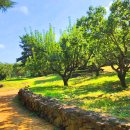 가산수피아 이미지