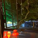 뮤직&바 이미지