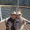 보현산권역정각마을 | 보현산 &#39;별빛 테마마을 야영장&#39;