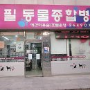 필동물종합병원 이미지